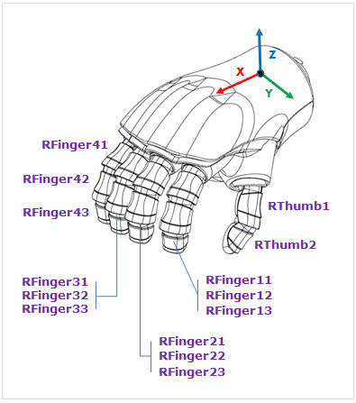 ../../_images/finger_names.png